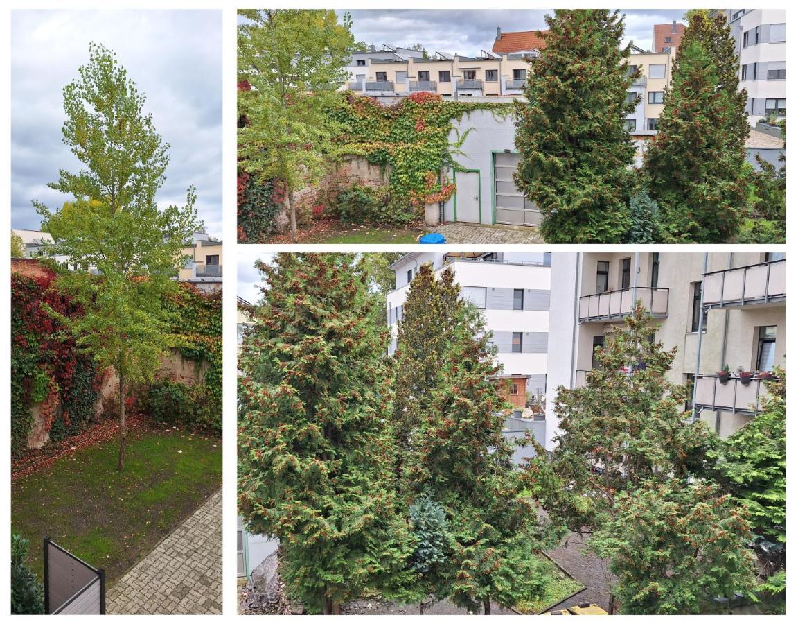 Modernes Einraumzimmer Mit Eigenem Bad, Balkonnutzung, Zentrumsnah - In 10 Minuten Mit Dem Rad Oder Dem Oepnv Zur Arena Und In Leipzigs Innenstadt Eksteriør billede